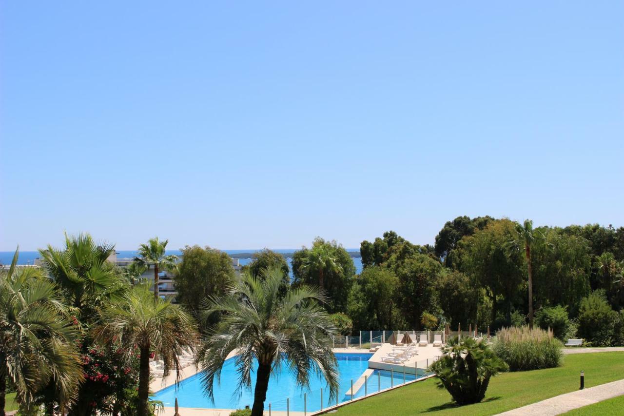 Appartement 2 Chambres Vue Mer Panoramique, Proche Croisette Cannes Vallauris Zewnętrze zdjęcie